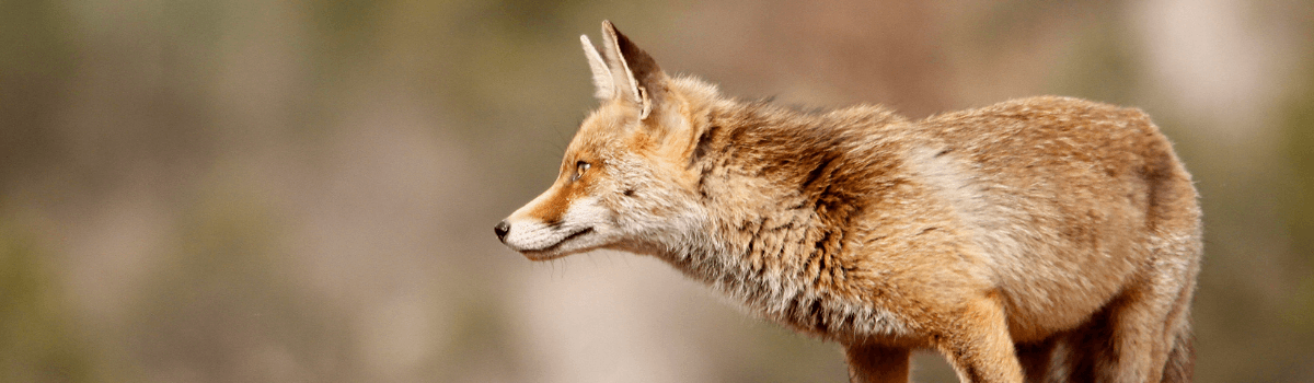 Cerro de la Torreta. Salinas de Hoz